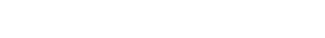 Netaji Subhas University of Technology (NSUT)