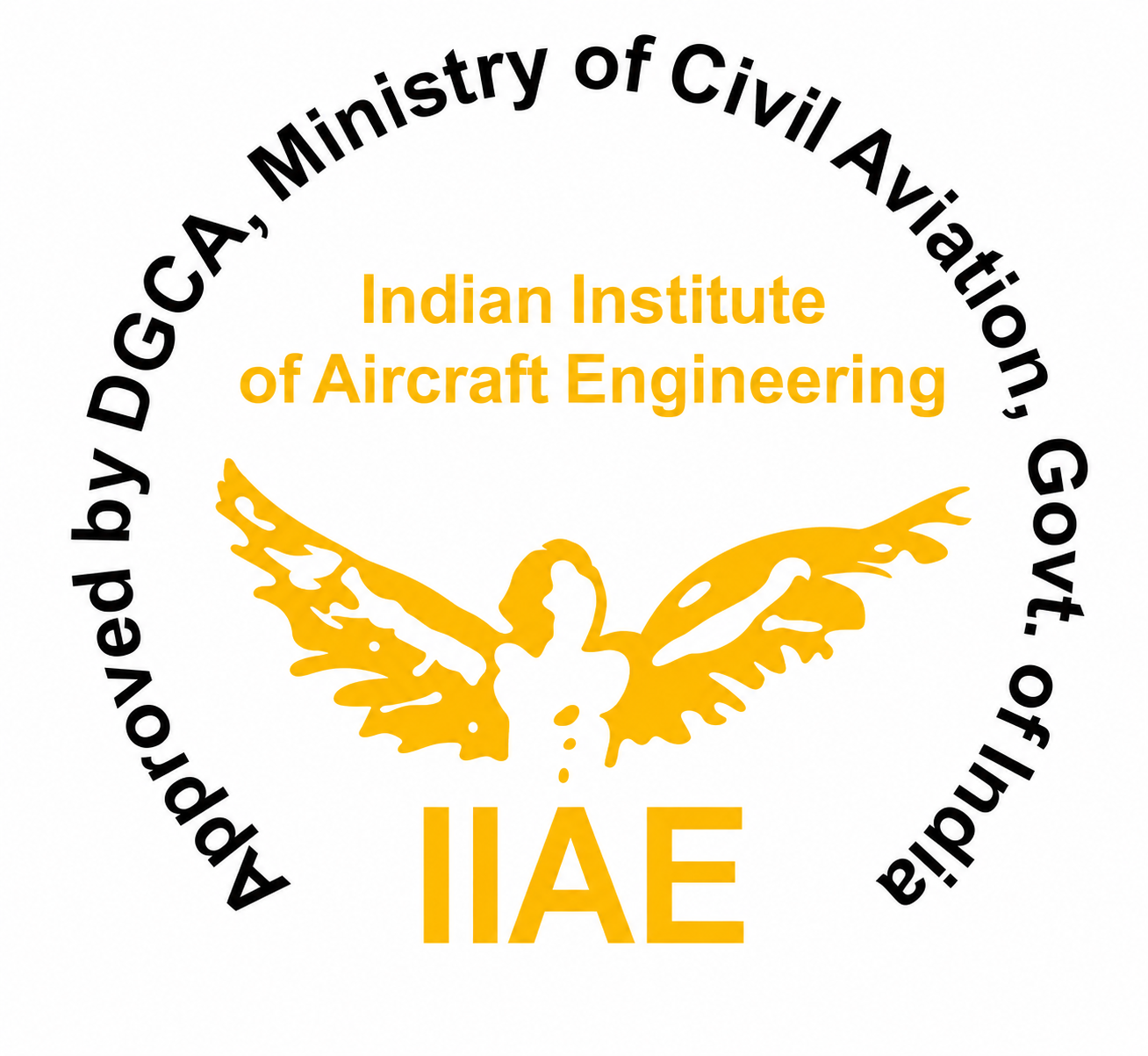 Indian Institute of Aircraft Engineering